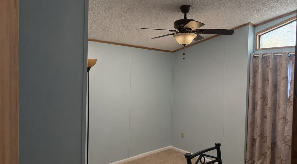 Ceiling fan 2